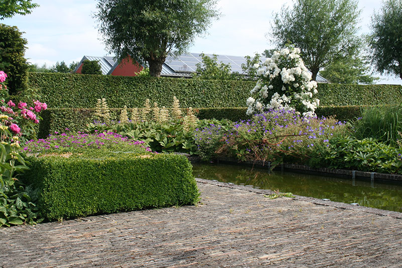 Tuin Wim Van Wassenhove - Tuinhier Oudenburg